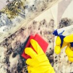 Britany Marshall Beauty | Expert Skincare Tips, Makeup & Nail Tutorials 8 Is Vinegar or Hydrogen Peroxide Better For Killing Mold?