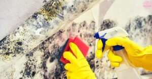 Is Vinegar or Hydrogen Peroxide Better For Killing Mold?