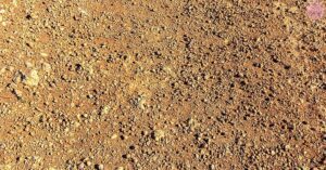 What Are You Lacking When You Crave Dirt?