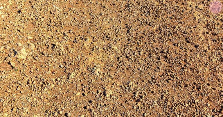 close-up of fine, dry, granular soil with varied textures and earthy tones, illustrating natural geophagy substrate