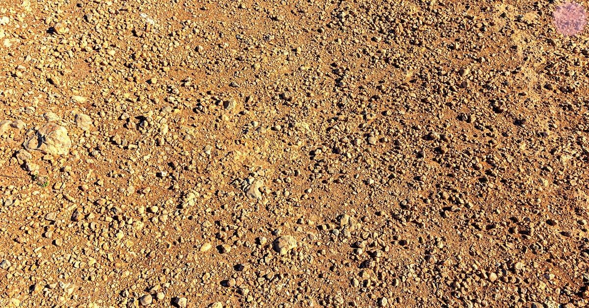close-up of fine, dry, granular soil with varied textures and earthy tones, illustrating natural geophagy substrate