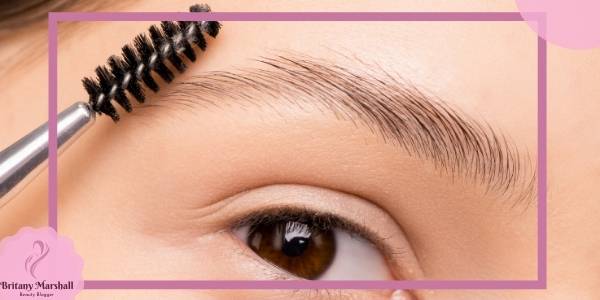 how long does it take eyebrows to grow back