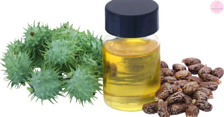a bottle of golden castor oil with ricinus communis seed pods and spiky green leaves, highlighting natural sources