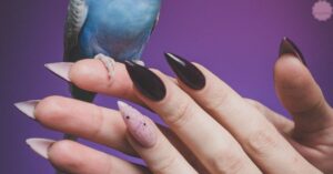 TS Nail Art Designs You Will Love