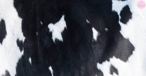 10 Best Strawberry Cow Print Nails Ideas & How To Make Them!