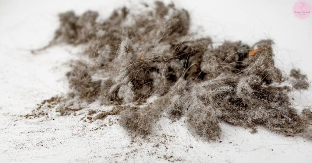 10 Reasons For Dust Or Lint In Your Hair & How To Prevent It!
