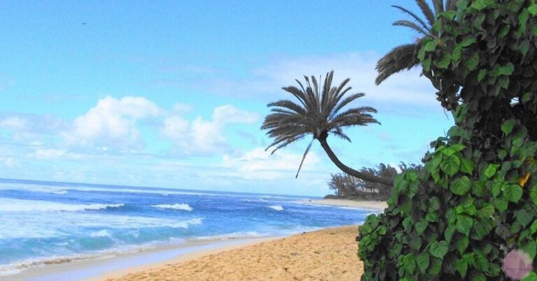 a serene tropical beach with gentle waves, palm trees, and lush greenery under a partly cloudy sky
