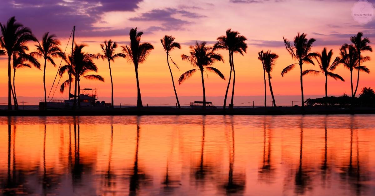 is sun bum reef safe review